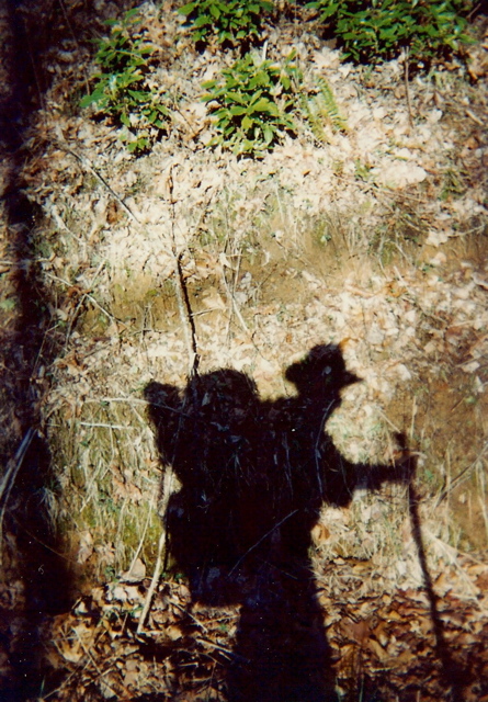 Shadow Portrait, hiking toward Blood Mountain