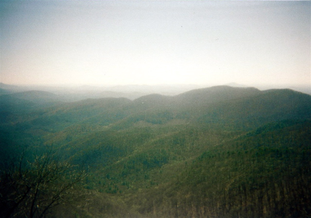 Looking S from Blood Mtn toward Springer