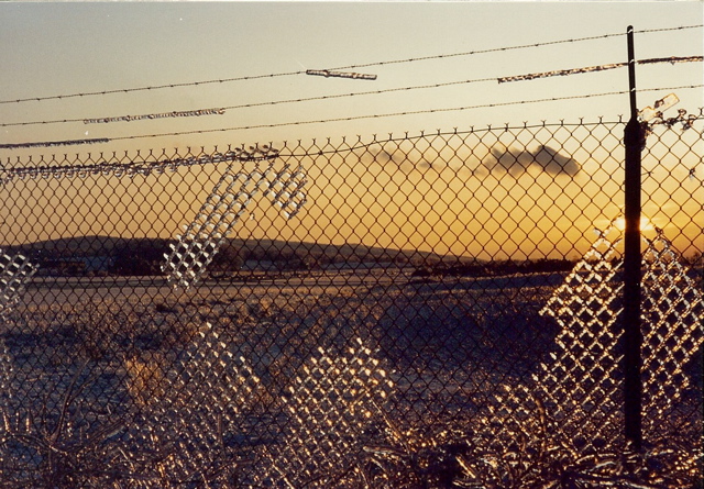 Ice Fence at Sunset