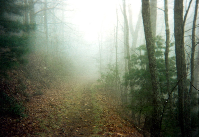 Mist Hiking, April 10
