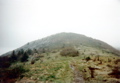 Grassy Ridge