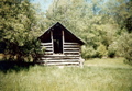 Old shed, May 11