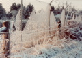 Ice fence at Blacksburg, VA, March 2