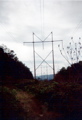 Power Lines, Aug 11