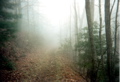 Mist Hiking, April 10