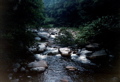 Vermont creek