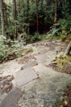 Steps, N. side of Moosilauke
