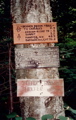 Moosilauke caution sign