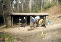 Tricorner Knob Shelter, April 26