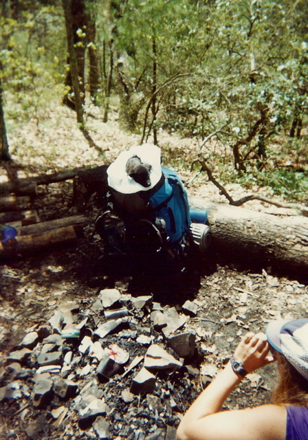 Trillium, the trail pup, May 2