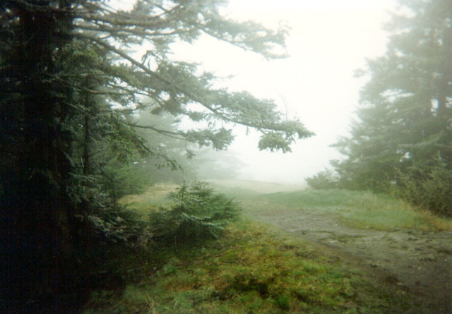 On Roan Mtn