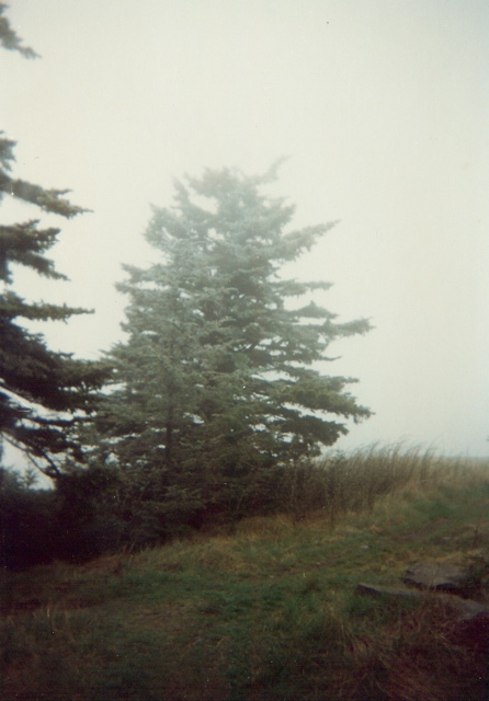 Rime ice at the top of Roan