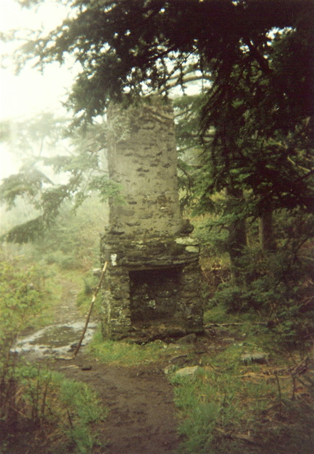 Remnents of a homestead