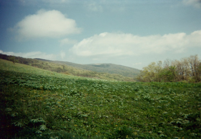 The valley into Overmountain Shelter