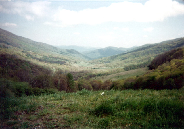 Looking south into NC