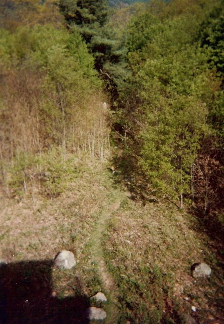 Firetower lookout, May 11