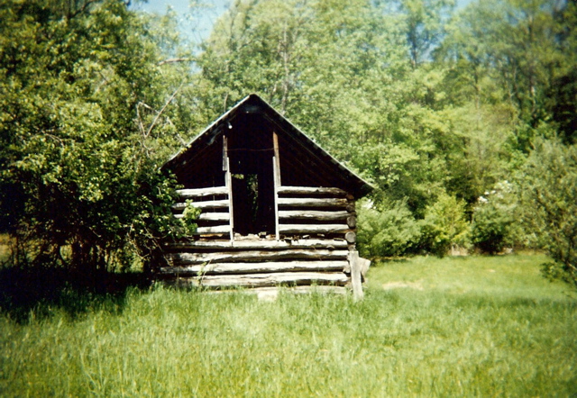 Old shed, May 11