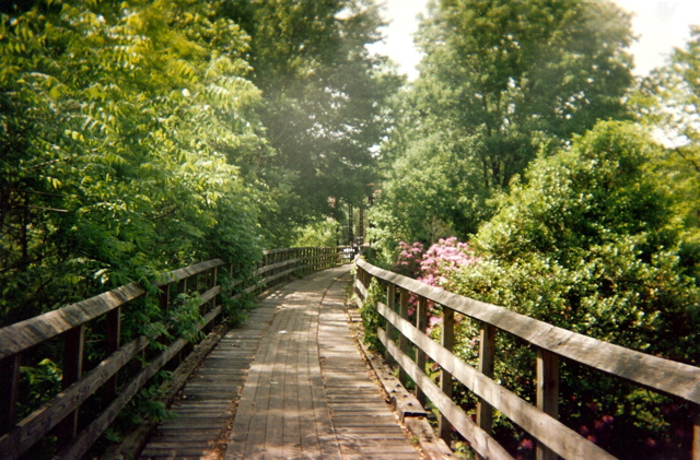 Creeper Trail, looking north