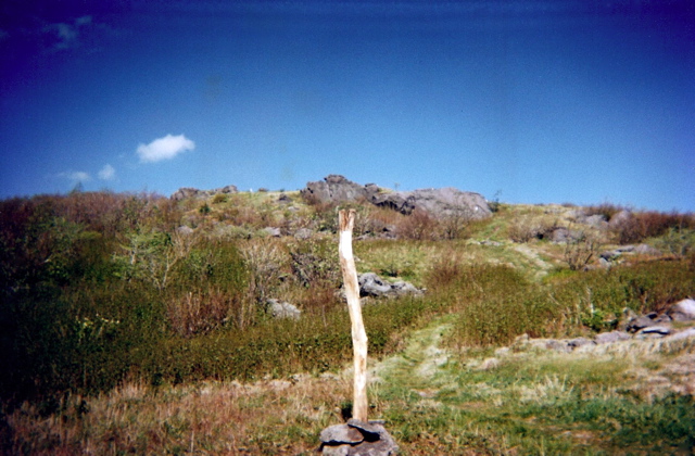 Buzzard Rock, May 17