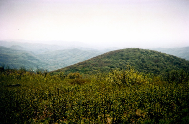 View SW from Buzzard's Rock