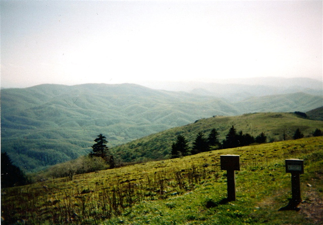 Further up Buzzard's Rock