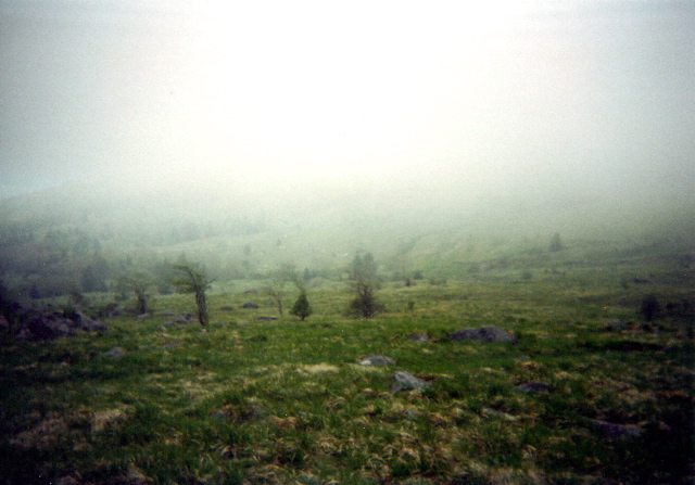 Trail up past Mt. Rogers junction