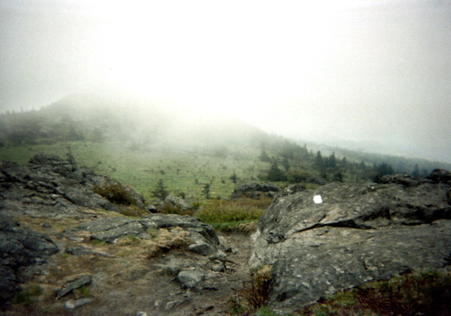 My Mist-covered Mountains