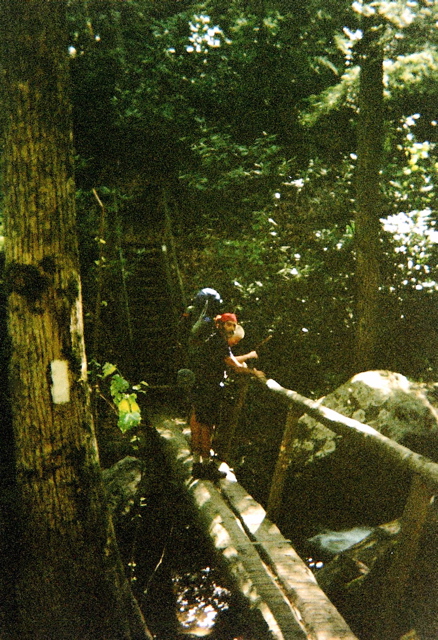 Creek crossing, May 19