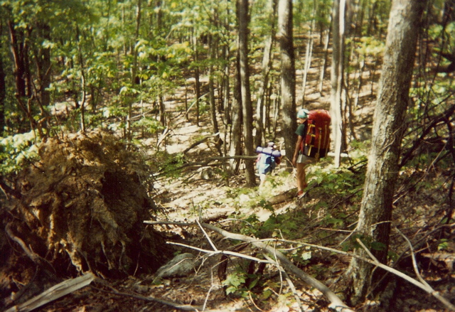 Descent to Little Wolfs Creek