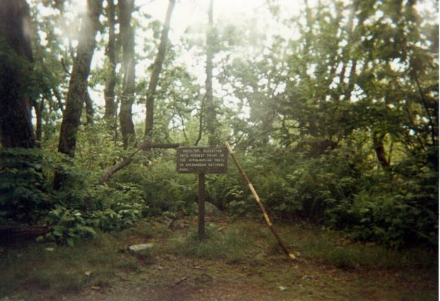 Hazel Top, June 17