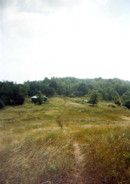 Near Sky Meadows Park trail