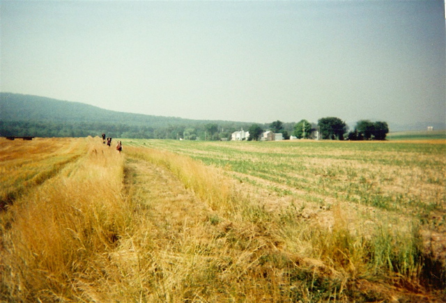 Cumberland Valley, July 6