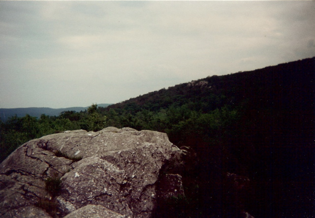 Cat Rocks in NY