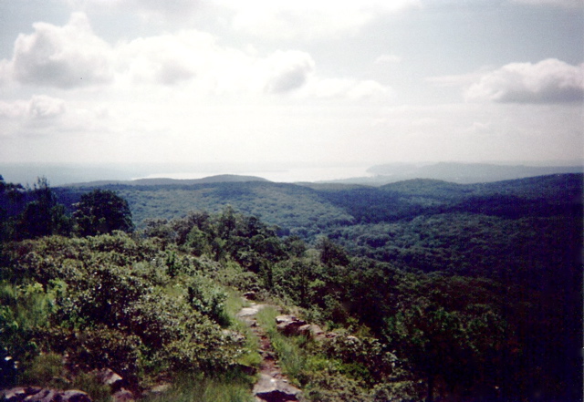 Black Mtn. Views