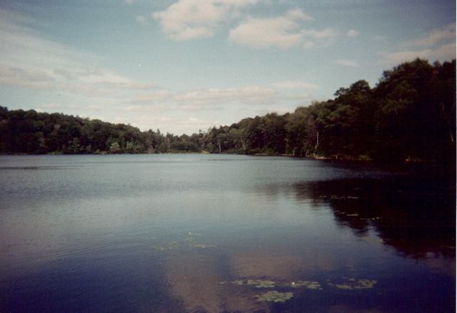 Finerty Pond