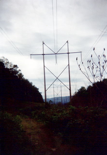 Power Lines, Aug 11