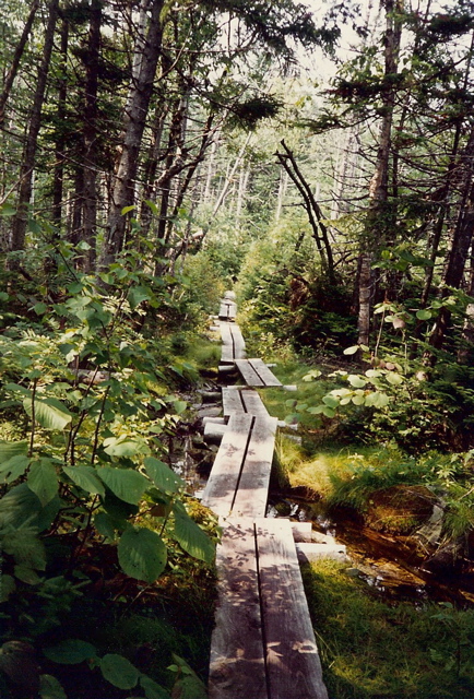 Peru Peak and on to Lost Pond Shelter