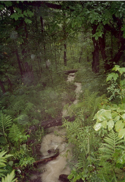 The Appalachian Trail, Vermont