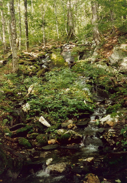 Waterfalls near Wintturi Shelter