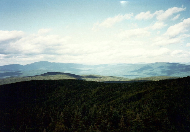 Whites from Smart Mt Firetower