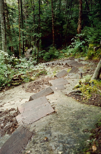 Steps, N. side of Moosilauke