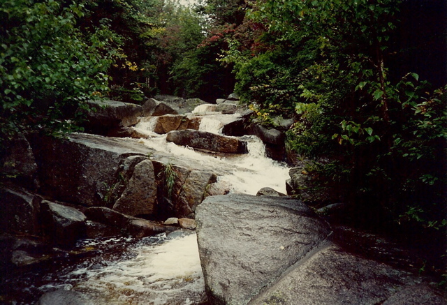 Mt Guyot stream