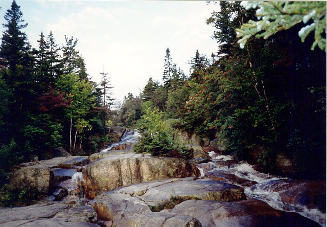 Stream outside Zealand Hut