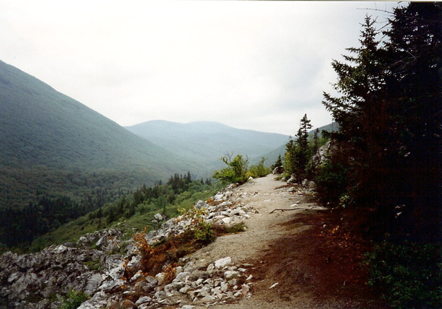 Path uptrail from Zealand