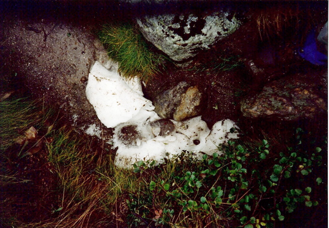 Snow on Trail