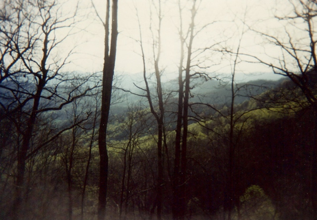 Spring starting in some of the lower valleys