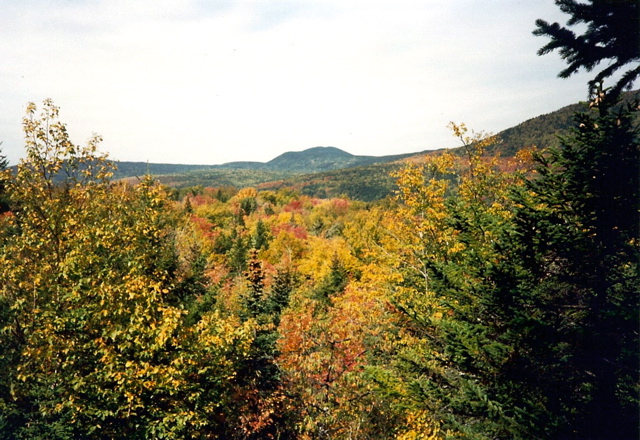 Fall Colors, Sept 22