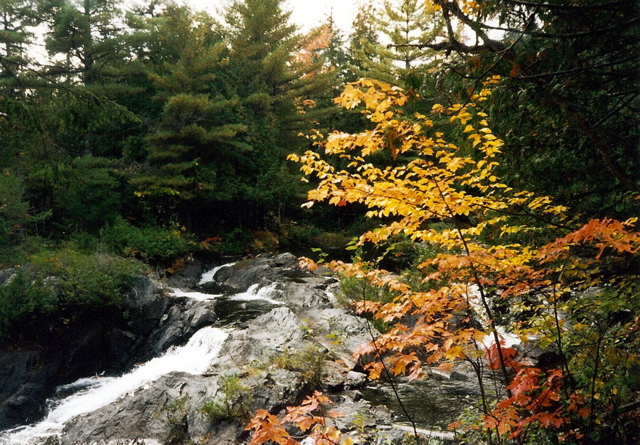 Stream to Kennebec