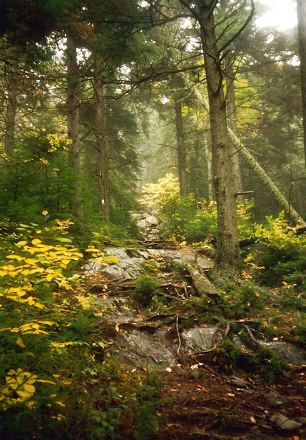 Pleasant Pond Mt