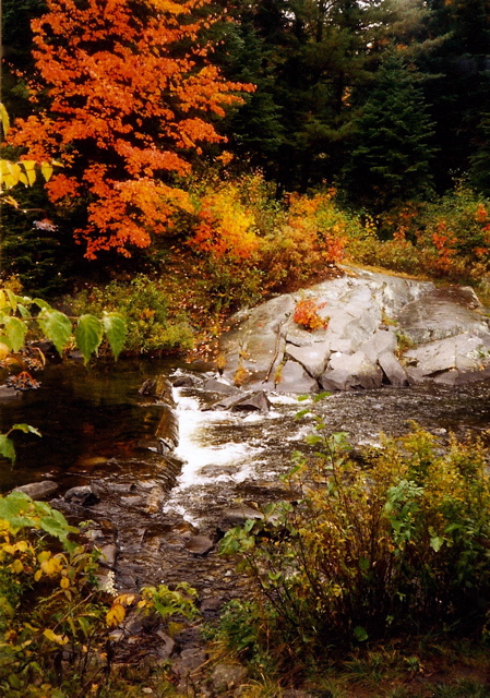 Bald Mt. Pond Outlet